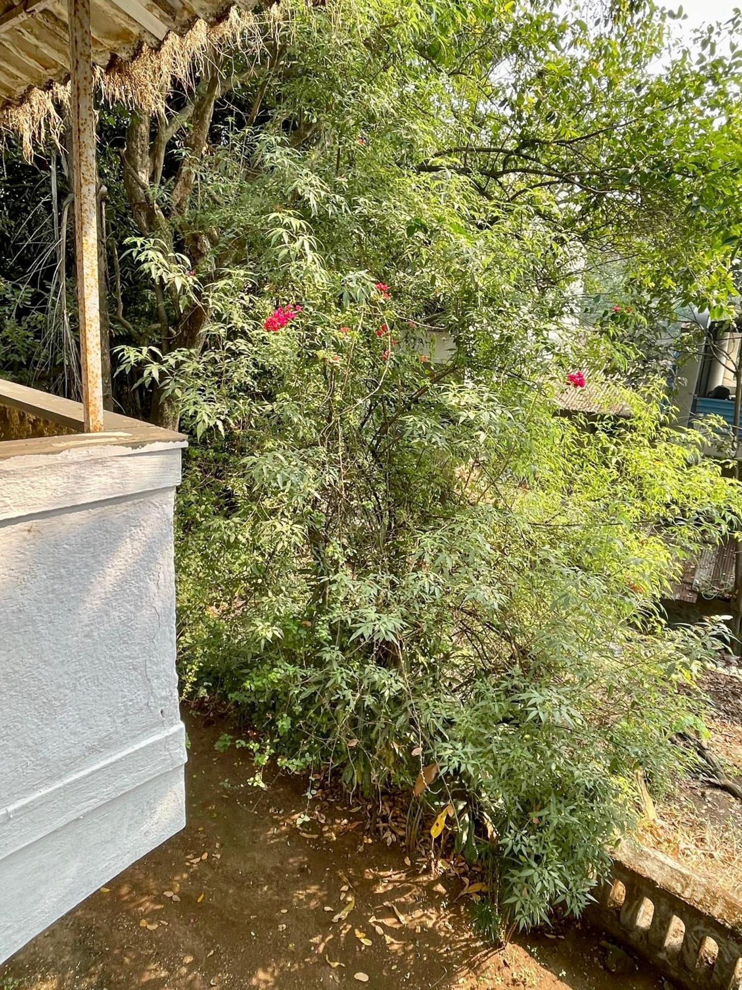 The Imperial Heritage II 2 Minutes From Station And Market II Deluxe Ac Rooms II Lonavala Eksteriør billede